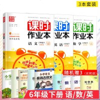 正版 2019春 通城学典 课时作业本 六年级下 语文+数学+英语 套装 苏教版 江苏专用 小学6年级下册语数英同