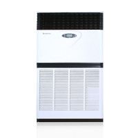 格力(GREE) 10匹变频冷暖柜机 商用中央空调 RF25WPd/BNa(380V)含10米空调管及安装服务
