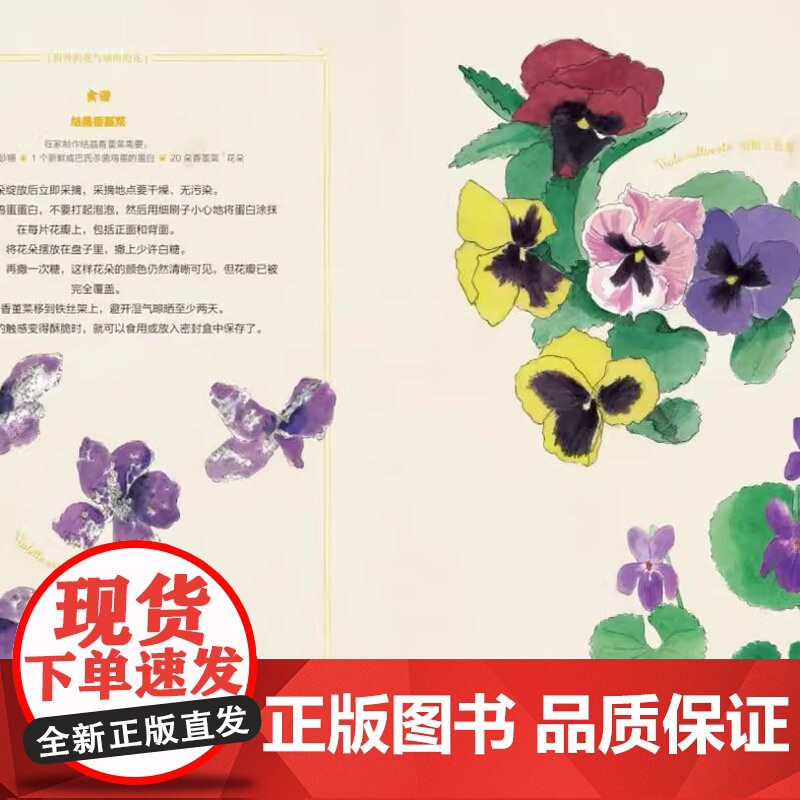 我的第一本花卉图鉴关于意大利布雷拉植物园编著的花卉一本教孩子如何亲手种植的书适合3-8岁幼儿课外阅读图画书中福会绘本正版高清大图