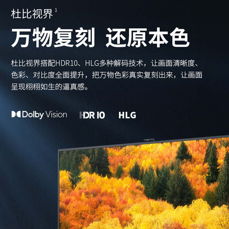 夏普(SHARP) 4T-M65U5EA/65U6EA 65英寸4K高清3+32G全面屏语音智能液晶平板电视机