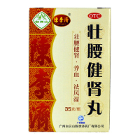 陳李済 壮腰健肾丸 35g*1瓶/盒