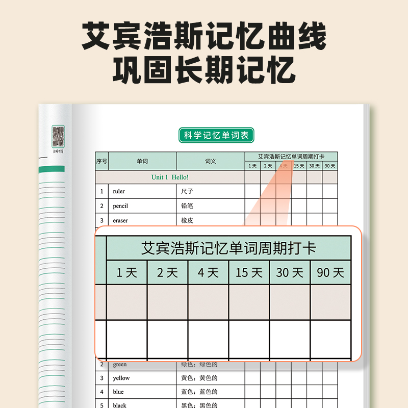 [三合一新版]四年级下 [正版]英语单词默写本三年级上册下册人教PEP同步字帖3-6年级小学生记背词汇短语句子听写本练习高清大图