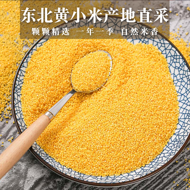 东北黄小米 小米粥新米 500g*2 五谷杂粮东北粗粮农家小黄米月子米养胃小米粥新米