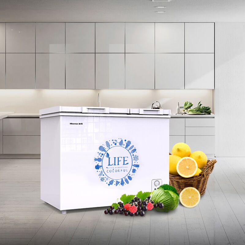 海信(Hisense)BCD-206NU/A 冰柜 家用商用小型卧式冷藏冷冻双温 冷柜(珍珠白)