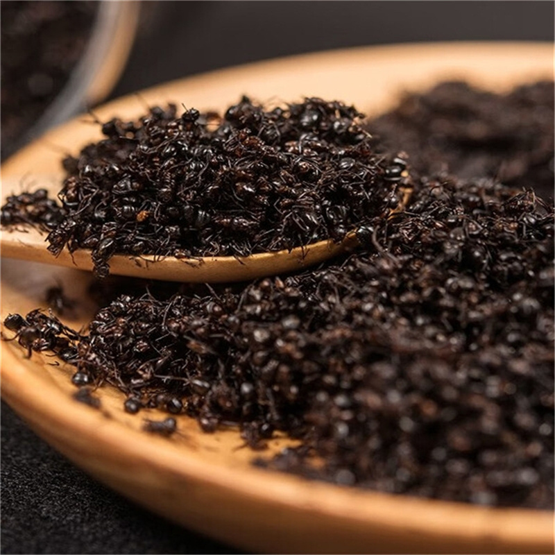 黑蚂蚁500g正宗大黑蚂蚁红蚂蚁食用养生黑蚂蚁泡酒料散装可磨粉高清大图