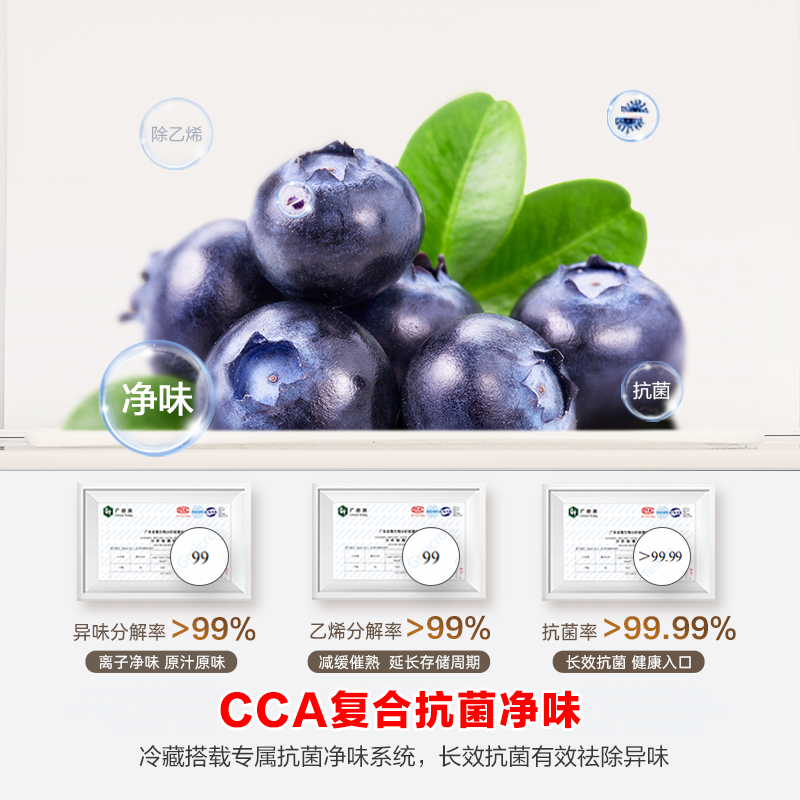 容声637升冰箱双开门家用对开门一级能效变频风冷无霜超大容量超薄电冰箱 BCD-637WD11HP