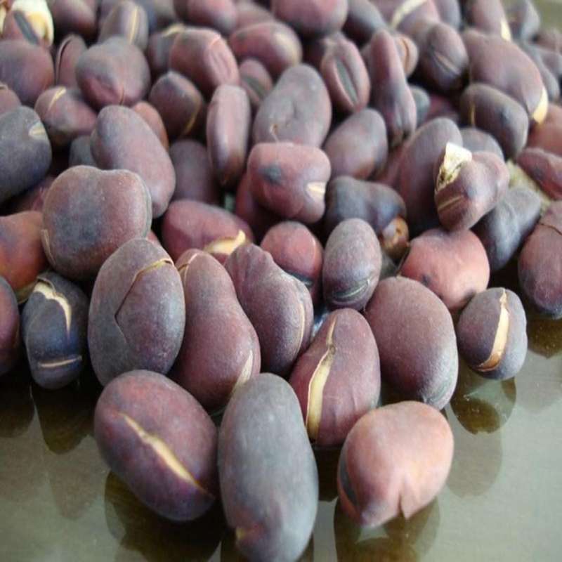 滇王驿古法坚果