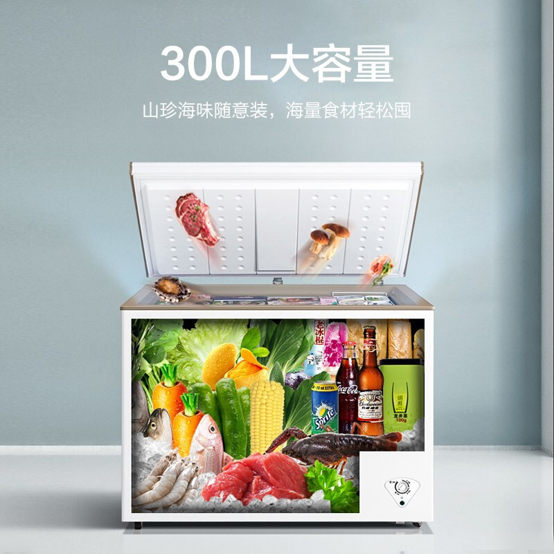 美的(Midea)300升 卧式冷柜 大容量家用商用冰柜 一级能效冷藏冷冻转换柜 大型 BD/BC-300KMD(E)