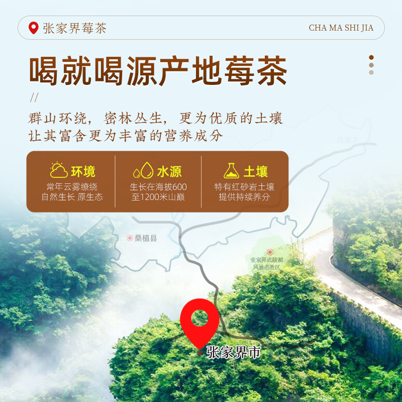 茶馬世家 芽尖莓茶张家界野生正宗原生态龙须藤茶养生茶80g+皮纹茶具组合高清大图