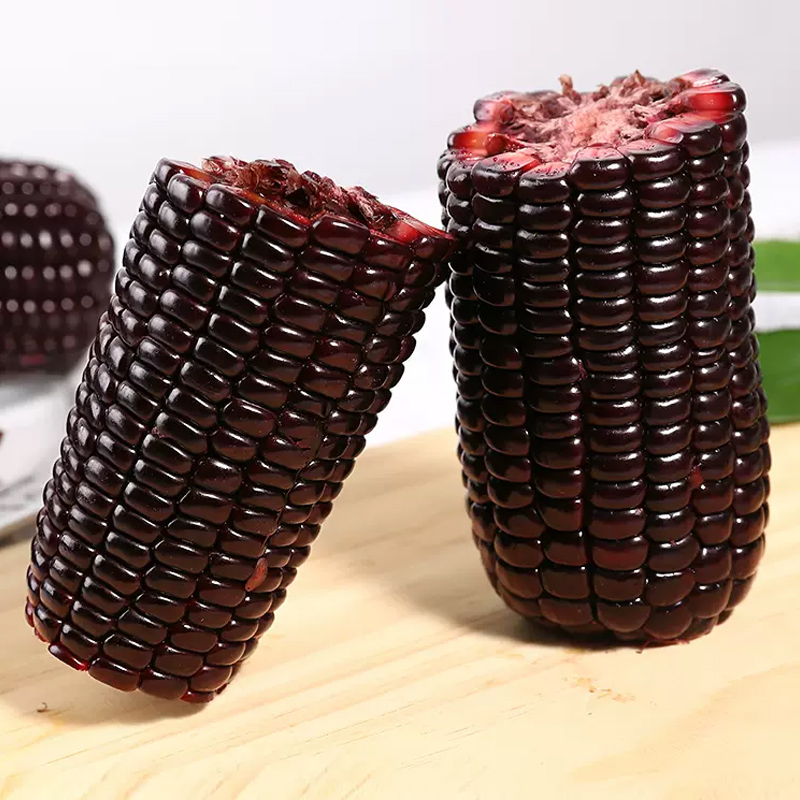 [西沛生鲜]新鲜黑糯玉米 大棒 10根装 单根220-300g 黏玉米甜糯玉米袋装高清大图