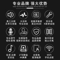 奔腾(BNTN)套装家庭影院KTV音响全套点歌机触摸屏一体机卡拉OK专业会议音响2T语音点歌8200功放配12点歌机套装