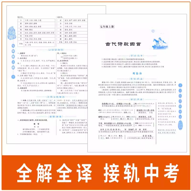 文言文全解 初中通用 [正版]初中文言文全解完全解读翻译书一本通人教版七八九年级上下册初中古诗文译注及赏析必背古诗词基础