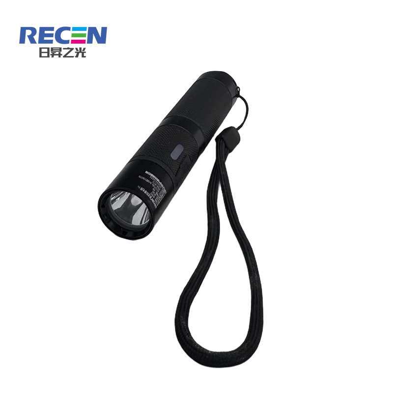 RECEN 微型防爆电筒 RSC8005 个