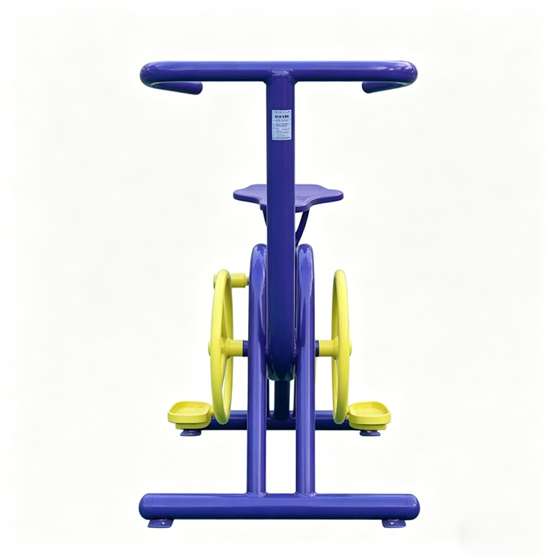 丝芝柔 立式健身车 固定式 个