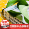 正版童书 神奇的逻辑思维游戏书儿童编程训练3-6-9-12岁幼儿园小学生益智趣味数学提升孩子专注力左右脑智力大开发全脑开