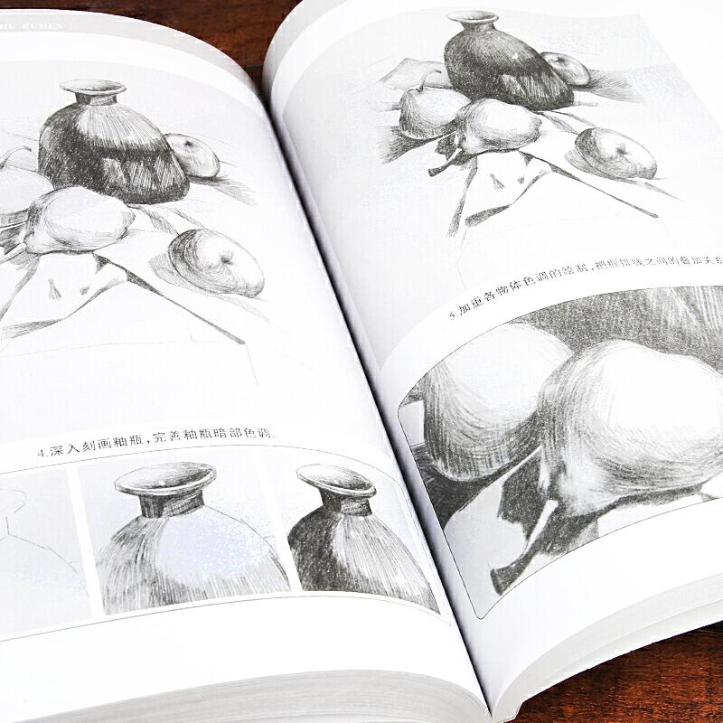 正版新书]素描基础入门--静物七彩绘工作室 绘9787531483298高清大图