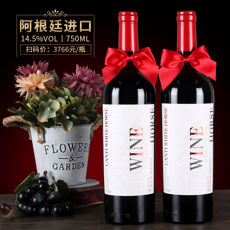 阿根廷原瓶进口红酒14.5度康蒂白马飞天圣马干红葡萄酒750ml2瓶装