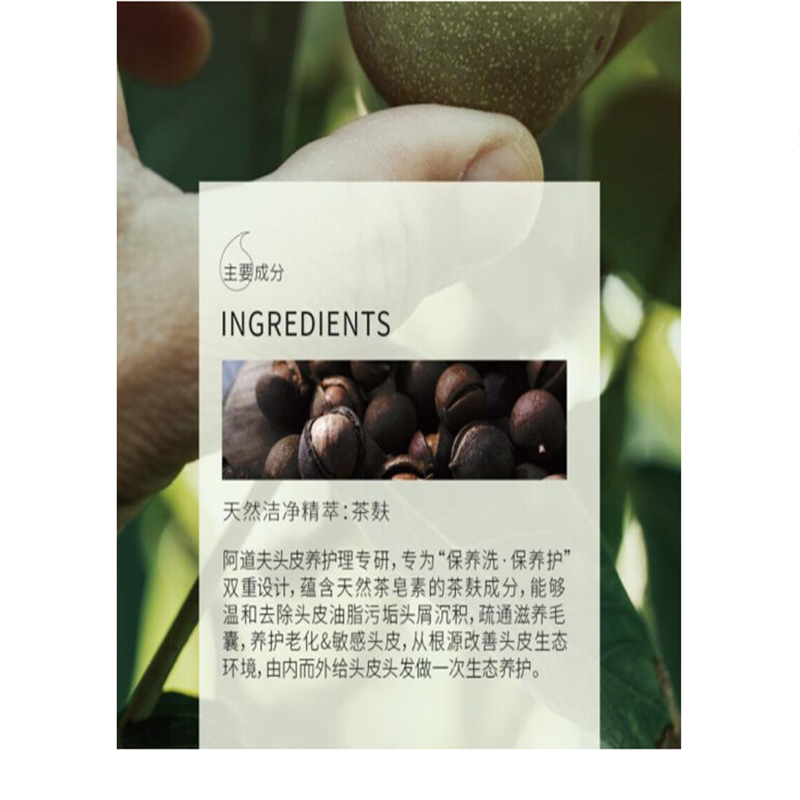 阿道夫茶麸6重洗护洗发水[零硅油护理]控油清爽300ml(BY)
