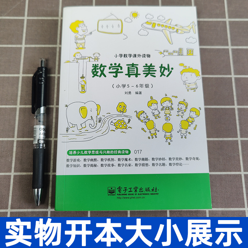 数学真美妙5-6年级 小学通用 [正版]趣味数学 数学真美妙5-6年级 数学课外读物 5-6年级 数学课外书 数学辅导高清大图