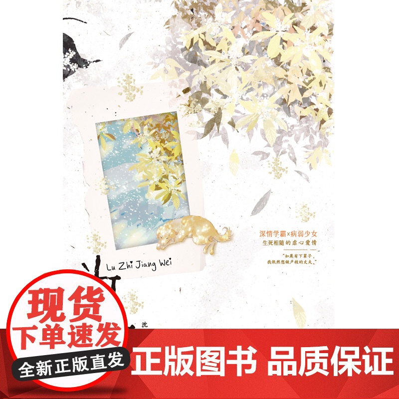 为枝(病弱少女×深情学霸,宝藏作者沈逢春高口碑BE美学代表作,叙写生死相随的虐心爱情)正版书籍高清大图