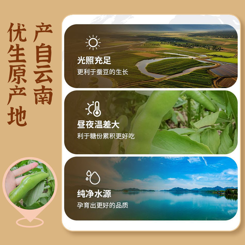 浙梅兰花豆506g蚕豆零食下酒菜批发量贩炒货坚果香酥解馋休闲高清大图