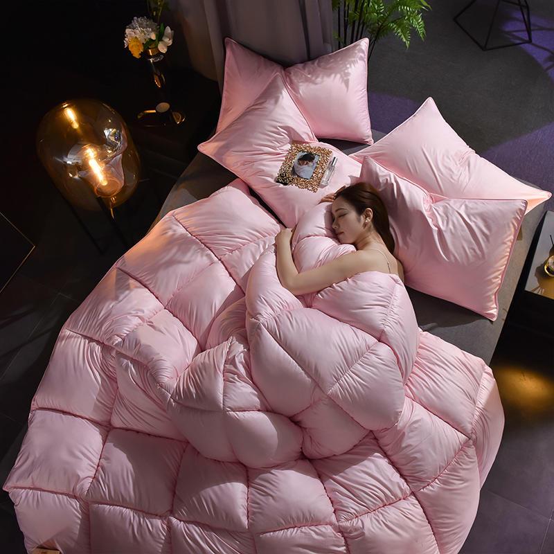 北极绒家纺 柔赛丝羽丝绒被子 冬天加厚保暖双人被芯冬被被褥春秋盖被