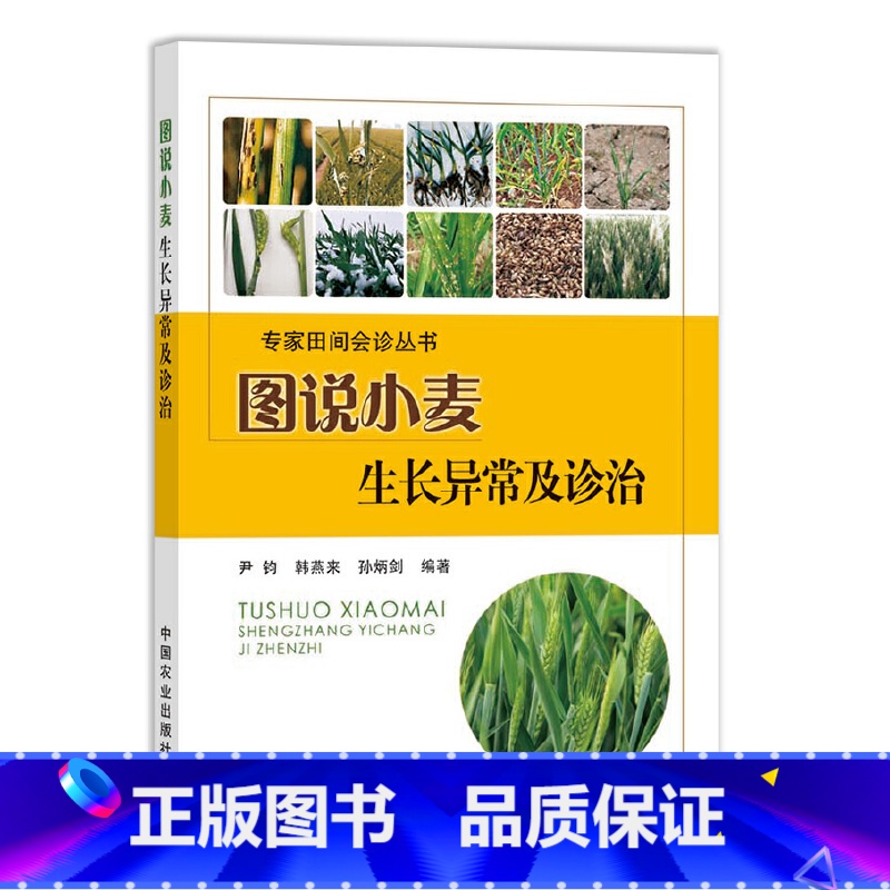 【正版】小麦种植技术 图说小麦生长异常及诊治农作物种植玉米种植技术大全小麦农业种植技术大全书小麦苗种植病虫害防治书