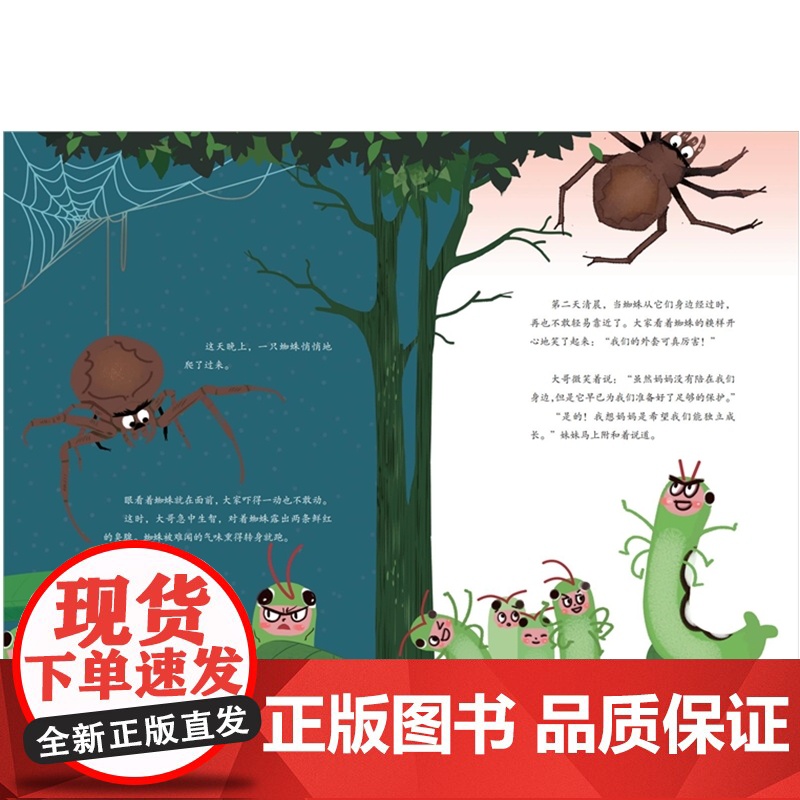 家门口的野生动物朋友 妈妈的爱——嗨,虫虫朋友高清大图