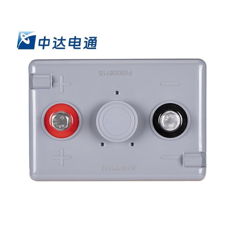 中达电通 蓄电池 DCF126-2/200Ah(只)含配件高清大图