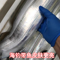 [国产][已通过核酸检测]沈志雄船长 东山岛海捕海鲜海钓大带鱼带鱼段 800g-850g/条