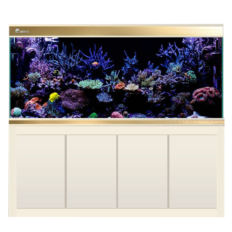 超白玻璃龙鱼缸中大型鱼缸水族箱底滤生态大鱼缸1.2米1.5米高清大图