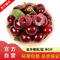 [顺丰直发]现摘美早大樱桃3斤装 单J级 新鲜水果车厘子当季水果 单果26mm-28mm