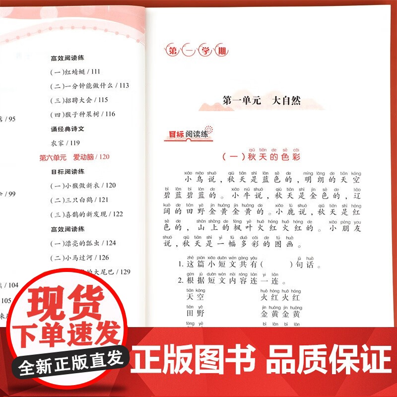 六年级新语文高效阅读训练+周计划小学数学计算题专项训练全2册 小学语文课外阅读理解答题技巧专项训练 数学应用题强化训练教高清大图