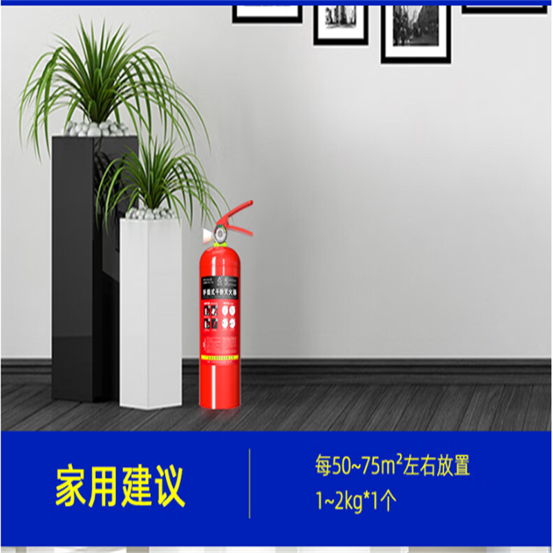 浙安广消1公斤手提式干粉灭火器 1kg商用家用消防气瓶 MFCZ/ABC1高清大图