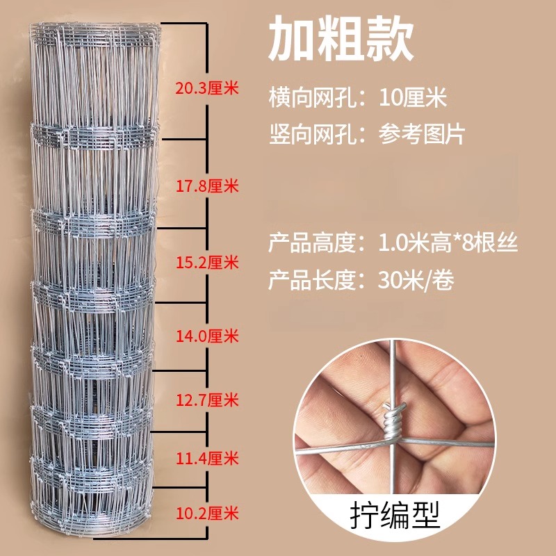 嗄加密网款式一卷高清大图