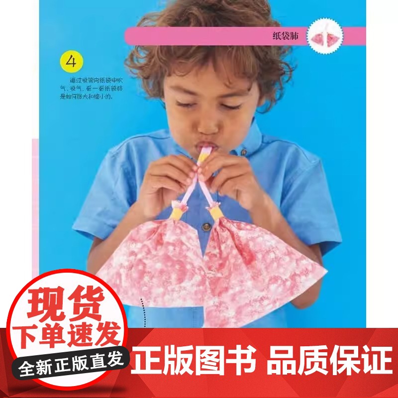 DK幼儿创意思维训练(套装全4册)虫虫总动员 海洋生物秀 农场动物们 人体大冒险亲子共读互动思维训练书 精装多版本可选高清大图