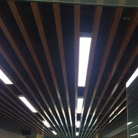 FS-10 led长条灯 铝方通吊顶专用灯 方通格栅线条灯
