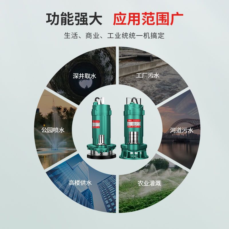 300W清水1寸5米水带 污水泵潜水泵220V小型家用化粪池抽水泵抽水高扬程抽粪排污泵
