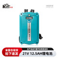 凯姿（KAZZ）DC2113 大容量背包电池割灌机电锯通用 21V 12.5AH 单位：个