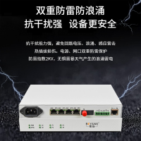 博扬 综合业务电话光端机 2电话+2路磁石+4路百兆以太网物理隔离 单纤20kmFC接口桌面式1对价BY-2P2H4EV