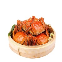 餐中王清水大闸蟹鲜活大螃蟹2.5-2.9两8只全母大闸蟹鲜活螃蟹苏州阳澄湖镇发货