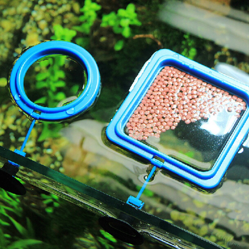 鱼缸喂食器 水族热带鱼投食观赏喂鱼 鱼缸双层投食圈高清大图