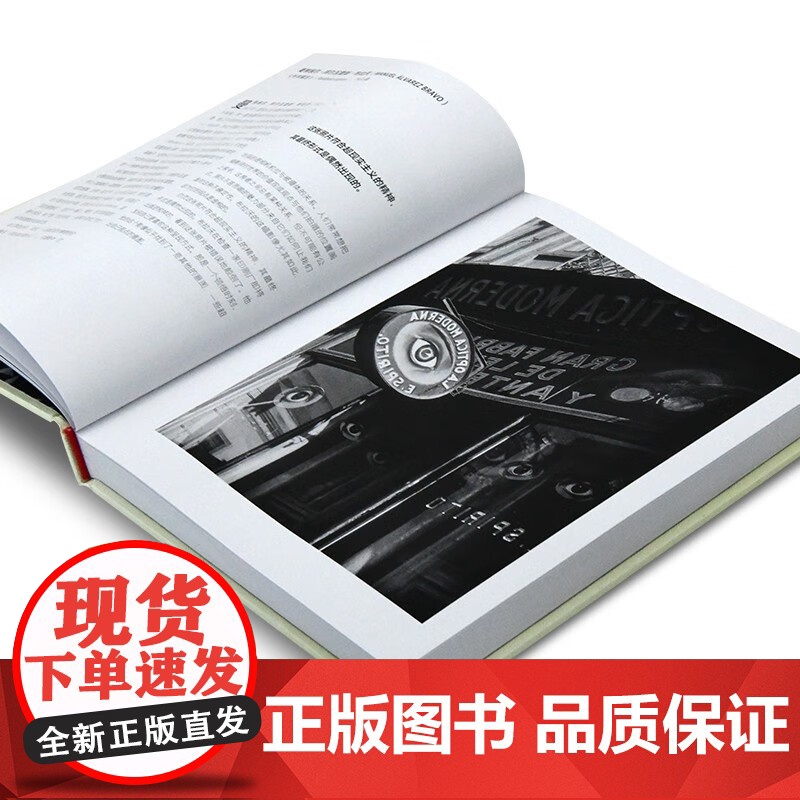 论照片 如何读懂一幅摄影作品 大卫·坎帕尼 著 摄影高清大图