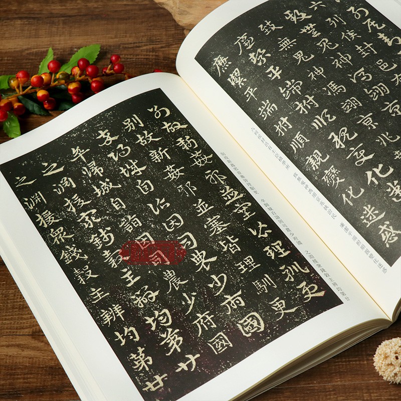 [正版] 急就章三种 三国皇象/邓文原/宋克章草书毛笔书法练字帖 古代经典碑帖善本 章草书法代表作品集临摹范本 江苏美高清大图