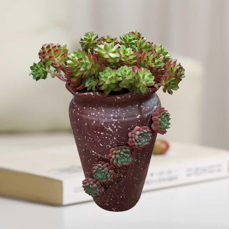 苏宁放心购多肉个性陶瓷花盆多孔洞洞花盆多肉盆栽摆件绿植陶瓷盆高款