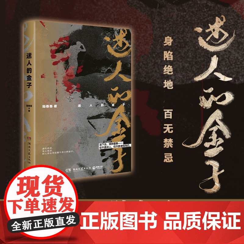 迷人的金子 豆瓣阅读人气悬疑作家陆春吾继《一生悬命》之后高口碑之作 现代文学悬疑惊悚推理犯罪小说正版书籍高清大图