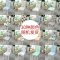 家柏饰(CORATED)弹力椅垫套装餐椅套欧式家用简约通用凳子套餐桌椅子套罩布艺 繁花似锦(6个装)裙摆+绑绳款