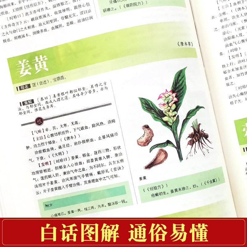 [醉染正版]正版 本草纲目彩色图鉴 彩图版全注全译 图解本草中药材药方植物养生偏方秘方 女人养生经 中医基础药方剂高清大图