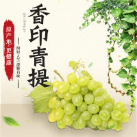 [江苏扶贫][财政集采][淮安]阳光玫瑰葡萄 6斤装*盒
