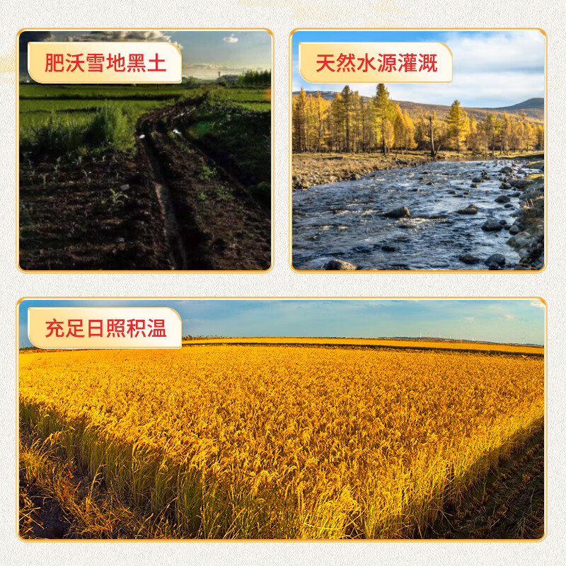 稻可道 五常大米5kg高清大图